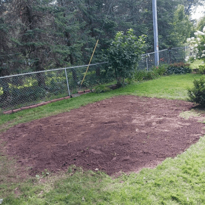 Landscape Removal